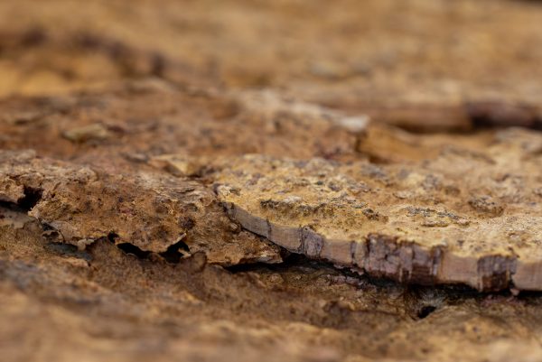 Floer Akukurk Wandpanelen Zandsteen Natuur perspectief 2