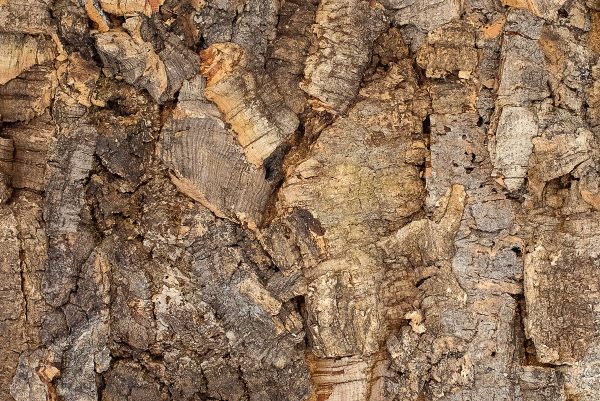 Floer Akukurk wandpaneel zandsteen natuur