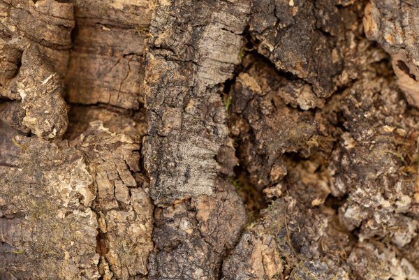 Floer Akukurk wandpaneel zandsteen natuur